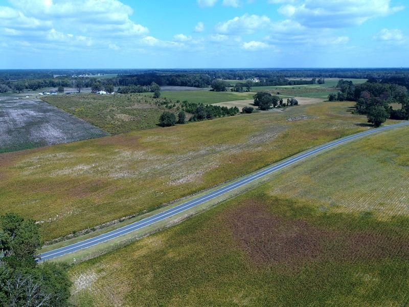 Quiet Residential Lot Trenton, NC : Trenton : Jones County : North Carolina
