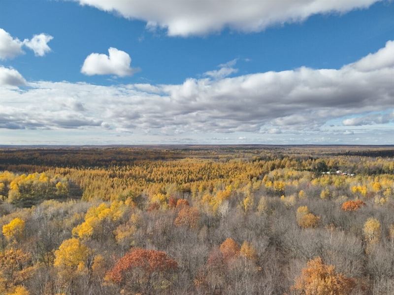 4.75 Ac of Land in Winter, Power : Sawyer : Sawyer County : Wisconsin