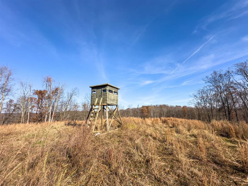 Hager Hill Rd, 189 Acres, Lincoln : Branchland : Lincoln County : West Virginia