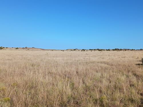 Prime 1.04 Acre AZ Land, $105/Month : Saint Johns : Apache County : Arizona