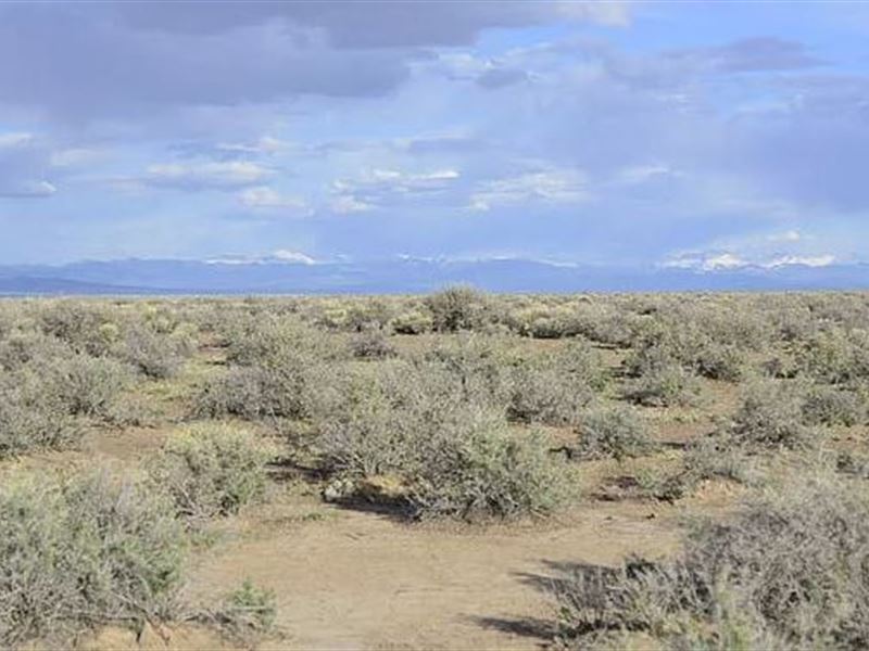 Mountain Views, Easy Financing : Alamosa : Alamosa County : Colorado