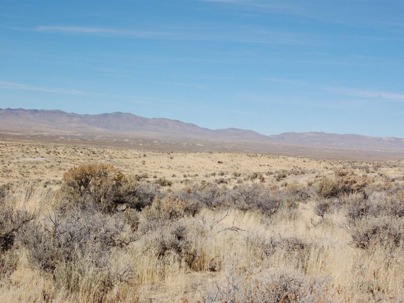 Rare Double Lot, Easy Financing : Elko : Elko County : Nevada