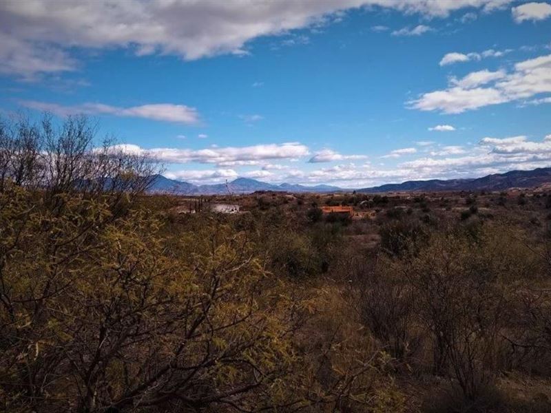 Unexpected Dental Work Forces ME : Rio Rico : Santa Cruz County : Arizona