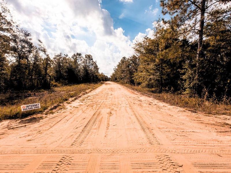 The Perfect Lot for Mobile Home : Interlachen : Putnam County : Florida
