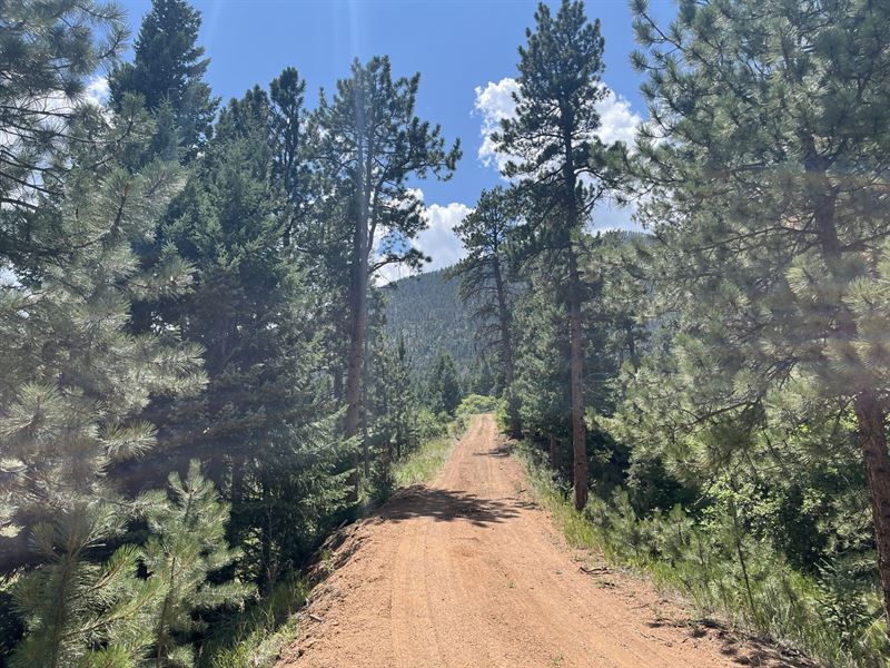 Chipita Pines : Cascade : El Paso County : Colorado