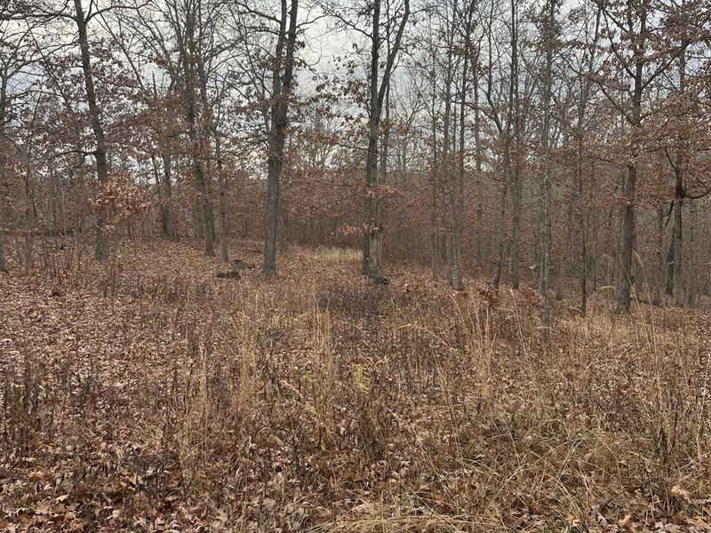 Heller's Hideaway : Salem : Dent County : Missouri