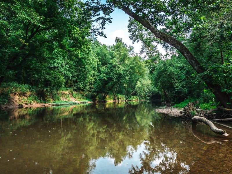 Spring Cave at The Piney : Bucyrus : Texas County : Missouri