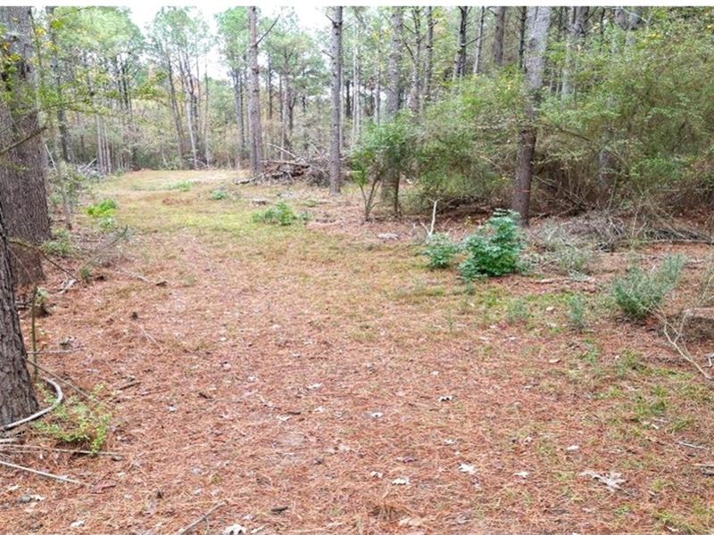 6.78 Acres in Newton County in Deca : Decatur : Newton County : Mississippi