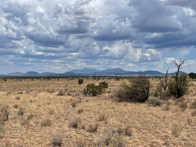 Discover Elevated Living, $275/Mo : Williams : Coconino County : Arizona