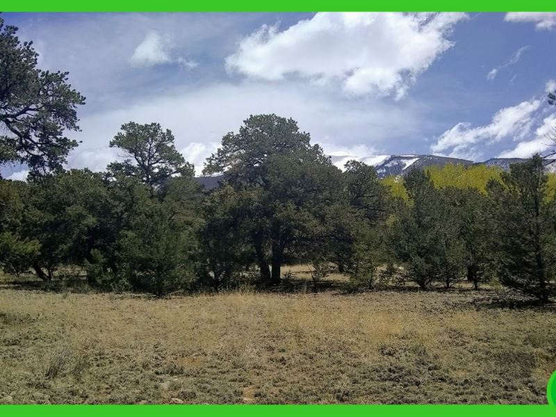 .76 Acre in Alamosa County : Mosca : Alamosa County : Colorado