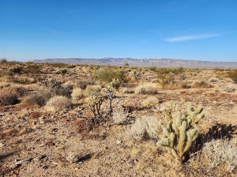 Off-Grid Escape, 2.35 Acres : Yucca : Mohave County : Arizona