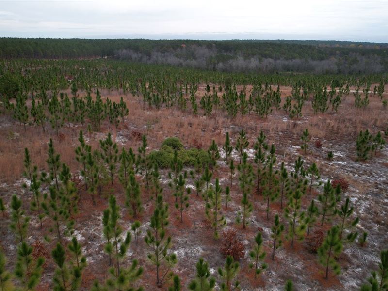 5 Acres in Chesterfield County, SC : Patrick : Chesterfield County : South Carolina