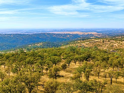 Mountain Pass 165 : Valley Springs : Calaveras County : California