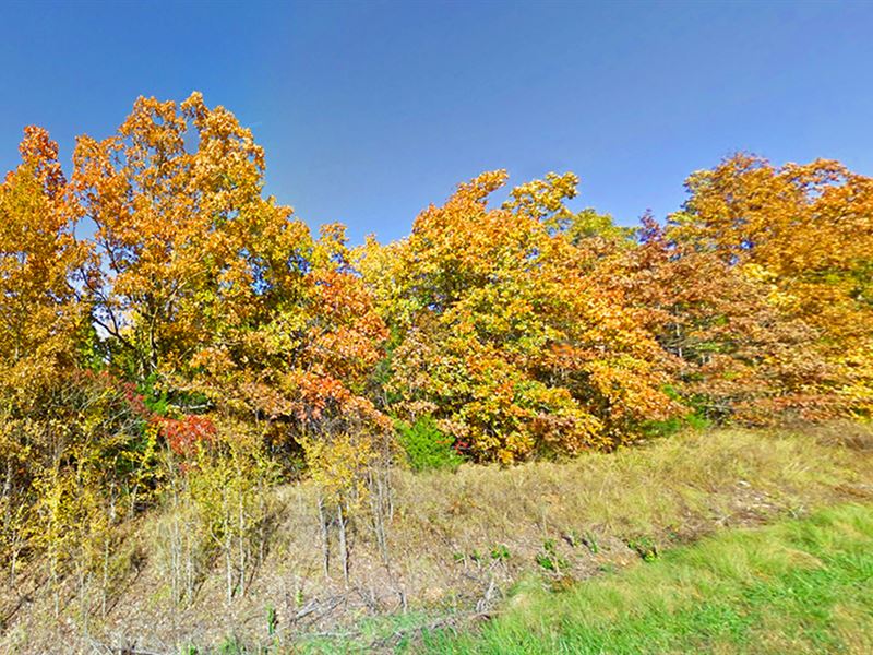 Wooded 0.31 Ac Lot in Izard County : Horseshoe Bend : Izard County : Arkansas