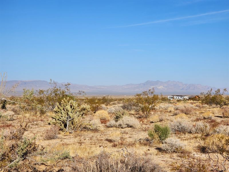 2.35 Acres 2 Hours From Las Vegas : Yucca : Mohave County : Arizona