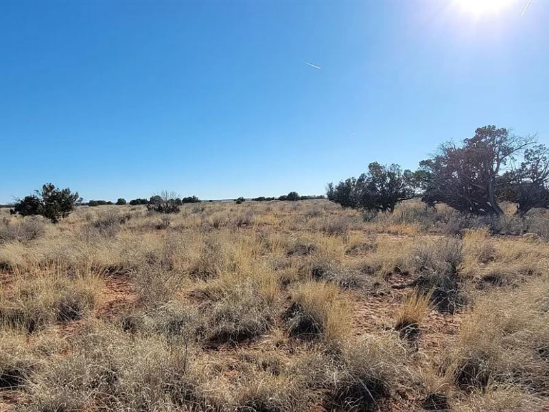 Lay Claim to Your Land, $125/Mo : Snowflake : Navajo County : Arizona