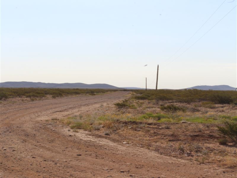Cyber Mon-Yay Has Arrived : Deming : Luna County : New Mexico