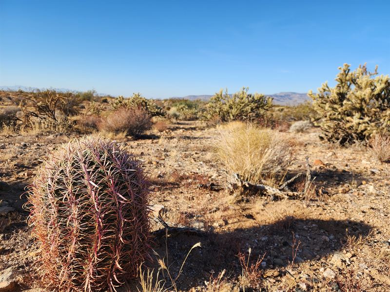 Desert Dream 2.35 Acres : Yucca : Mohave County : Arizona