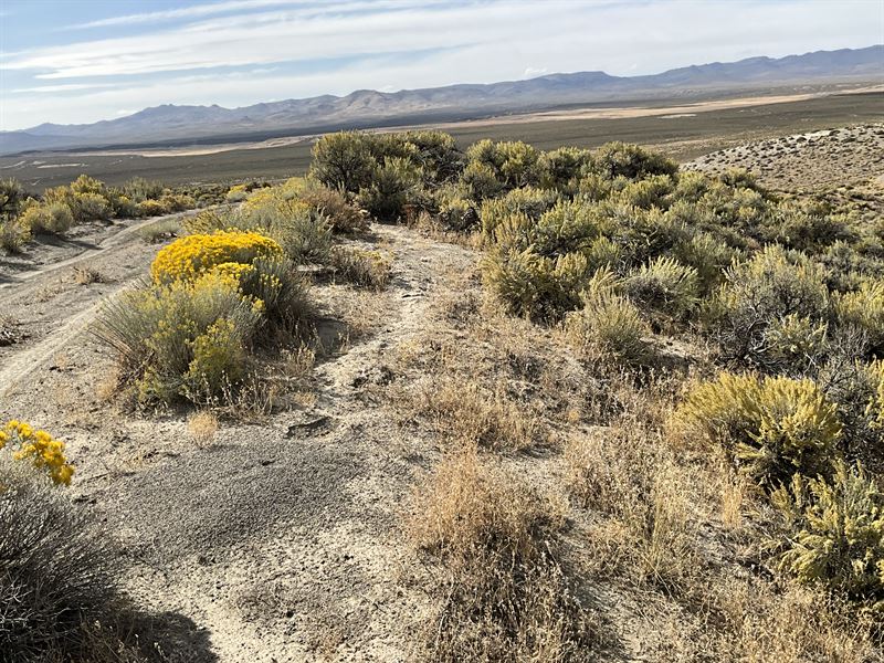 Unleash Your Inner Maverick in NV : Nevada : Elko County : Nevada