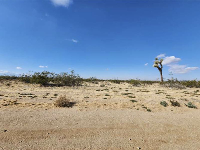 Best NM Deal, Gain Instant Equity : Roswell : Chaves County : New Mexico
