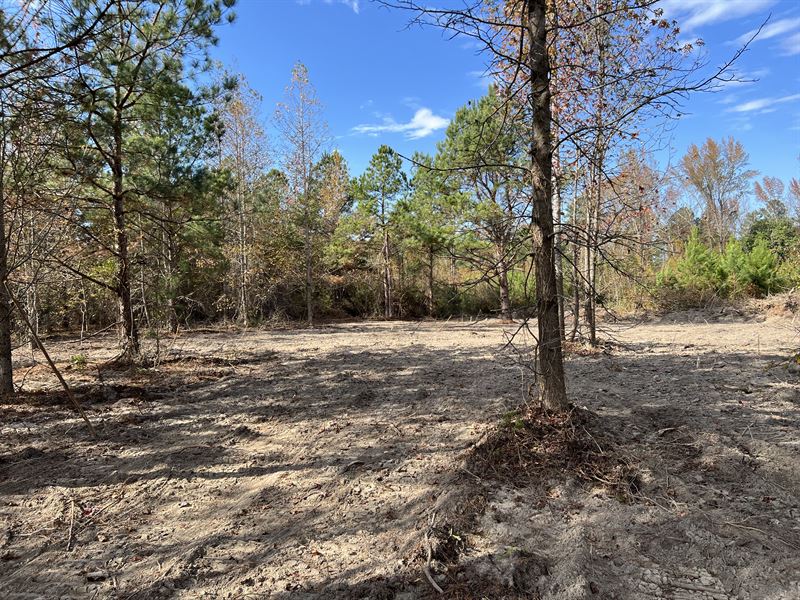Wetumpka 10 Acres : Wetumpka : Elmore County : Alabama