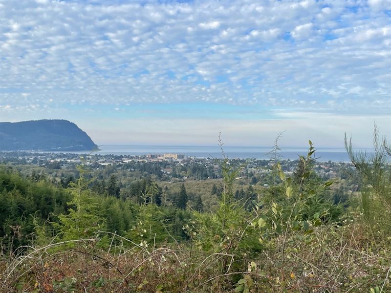 80 Acres in Seaside, Oregon : Seaside : Clatsop County : Oregon