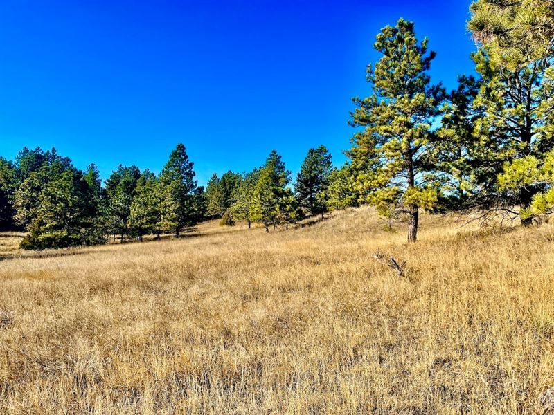 Build in Bull Mountain Parks : Roundup : Musselshell County : Montana