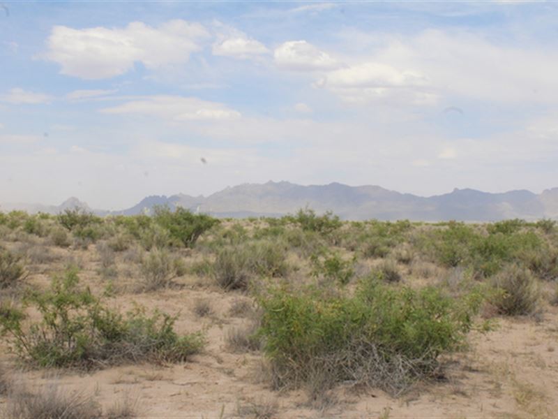 Cozy Up to This Great Deal : Deming : Luna County : New Mexico