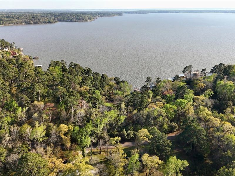 Half Acre, Waterview Potential : Livingston : Polk County : Texas