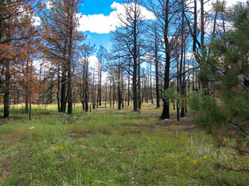 Mountain Adventures Outside of CO : Fort Garland : Costilla County : Colorado