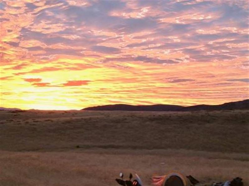 Kings View : Imlay : Pershing County : Nevada