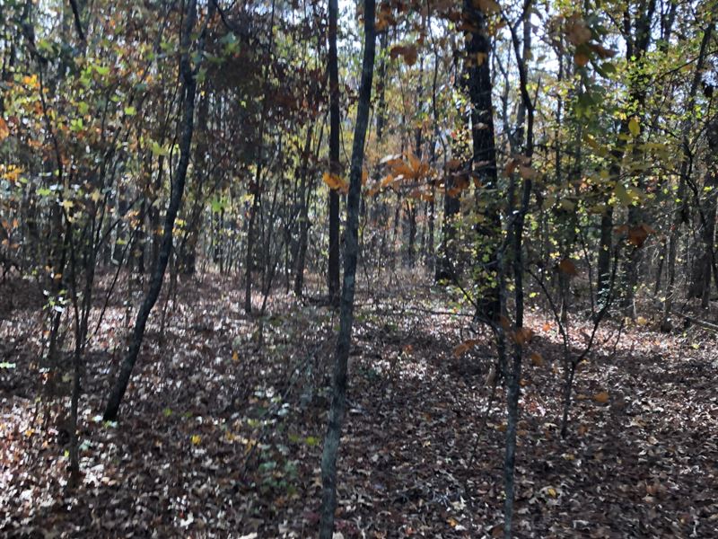 Upson 25 Jimerson : Thomaston : Upson County : Georgia
