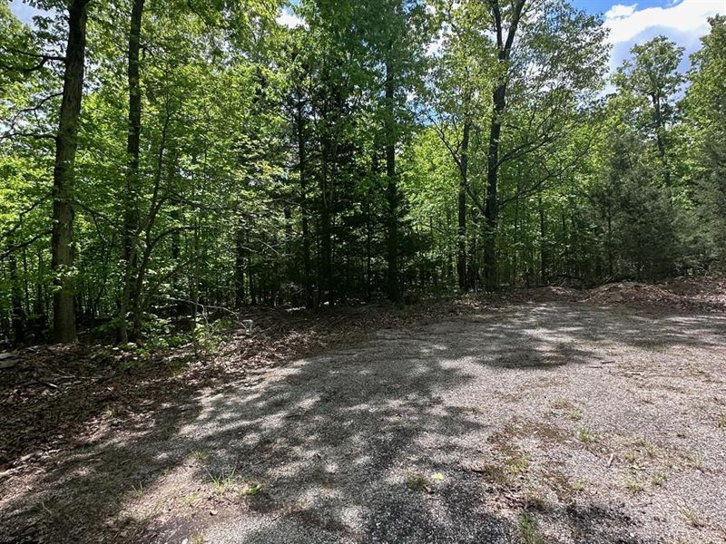 Walk to Lake Navajo, $100 a Month : Cherokee Village : Sharp County : Arkansas