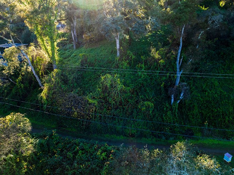 Perfect Land with Perfect Space : Aptos : Santa Cruz County : California