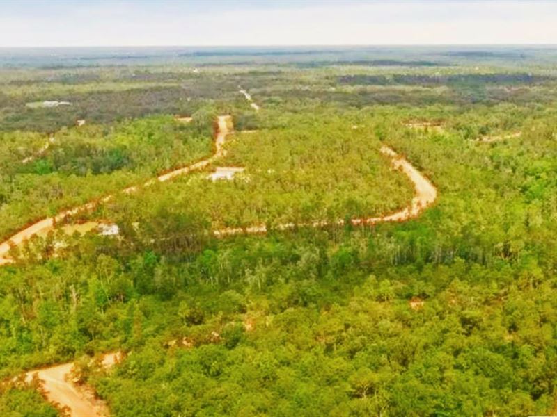 Get Back to Nature, Treed Land : Marianna : Jackson County : Florida