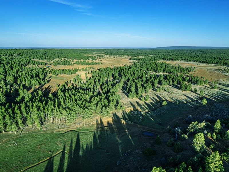 Elk Mountain Ranch : Grants : Cibola County : New Mexico