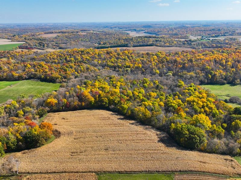 102 Acres Olmsted County : Pine Island : Olmsted County : Minnesota