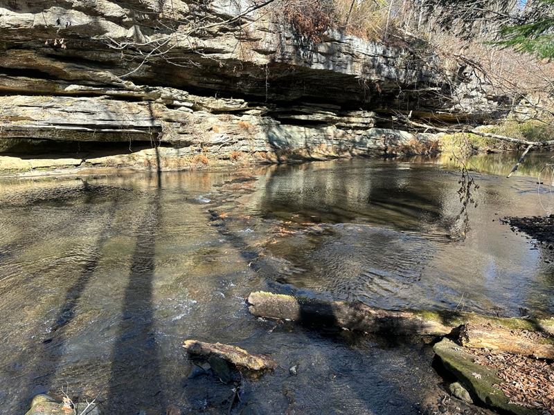 Hunt, Fish, and Live on Bear Creek : Bear Creek : Marion County : Alabama