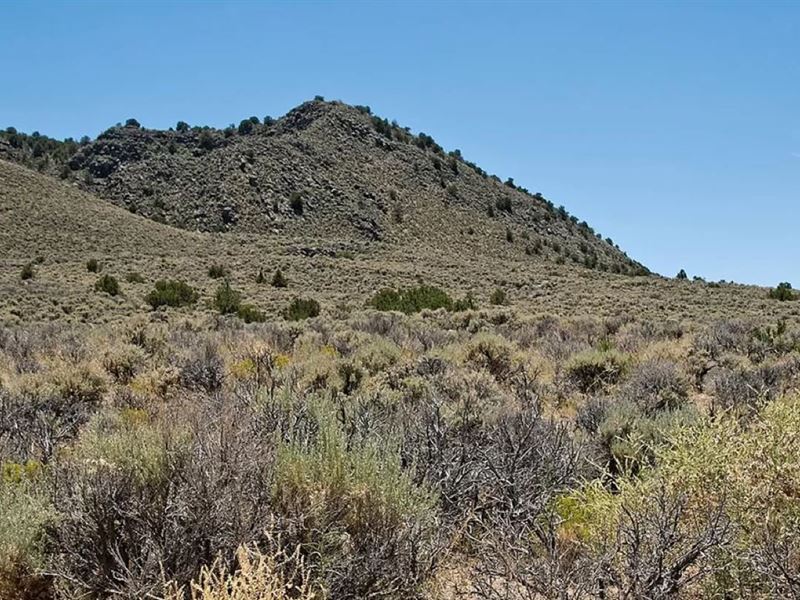 Dream Getaway in San Luis, CO : San Luis : Costilla County : Colorado