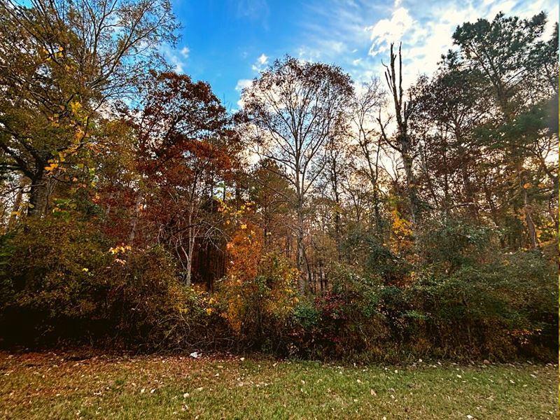 .7 Acre Only 5 Min From Oconee : Greensboro : Greene County : Georgia