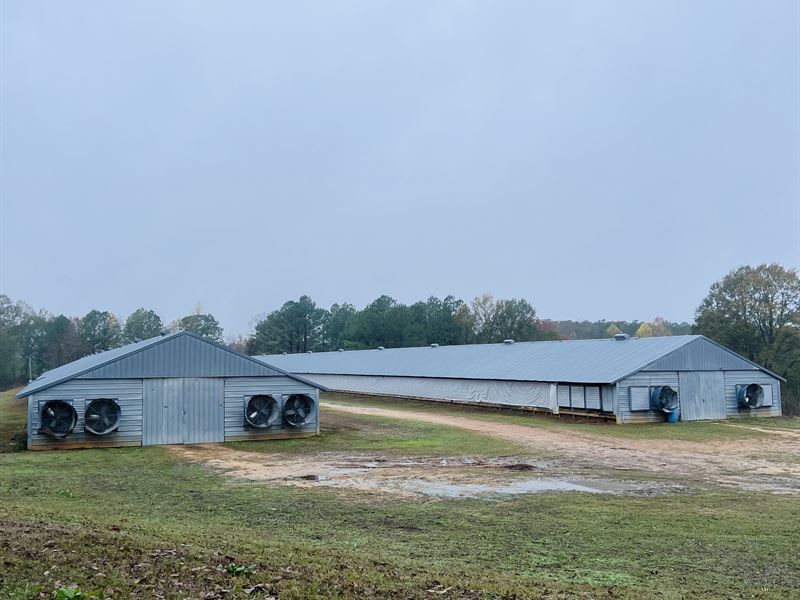 2 House Breeder Farm on 147 Acres : Pulaski : Smith County : Mississippi