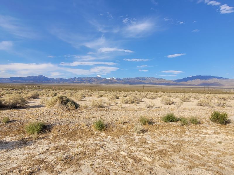 5 Ac of Flat Land, Newberry Springs : Newberry Springs : San Bernardino County : California