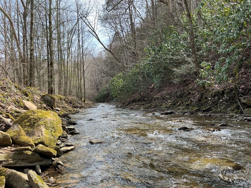 Crany Clear Fork Property : Oceana : Wyoming County : West Virginia