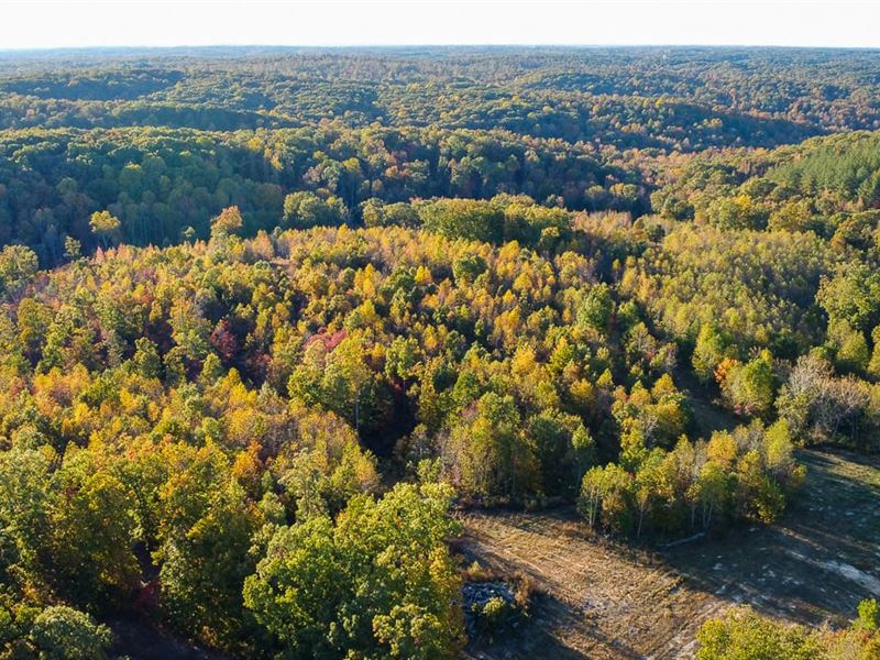 Fire Tower Tract : Erin : Houston County : Tennessee