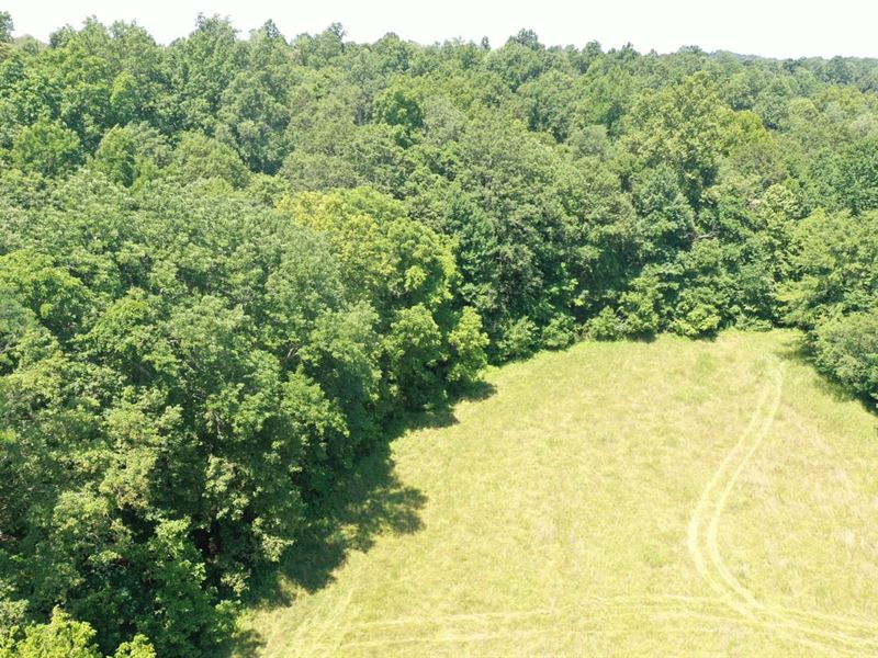 74 Acre Recreation Land with Beauti : Erin : Houston County : Tennessee