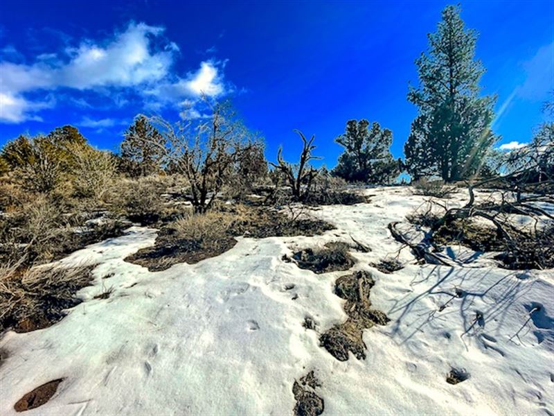 Ideal Retirement Near Water & Power : Chiloquin : Klamath County : Oregon