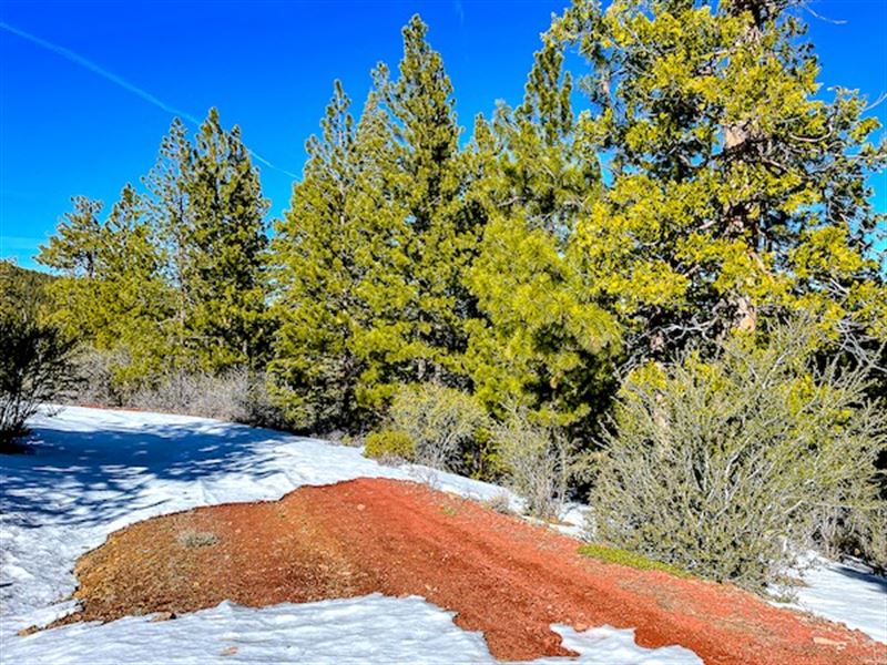 Comfort, Beauty, & Affordability : Alturas : Modoc County : California