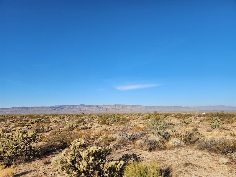 Off-Grid Escape, 2.35 Acres : Yucca : Mohave County : Arizona