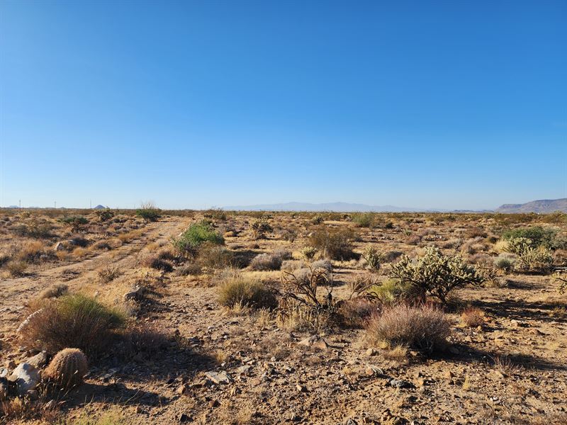 2.35 Acres in Mohave County, AZ : Yucca : Mohave County : Arizona