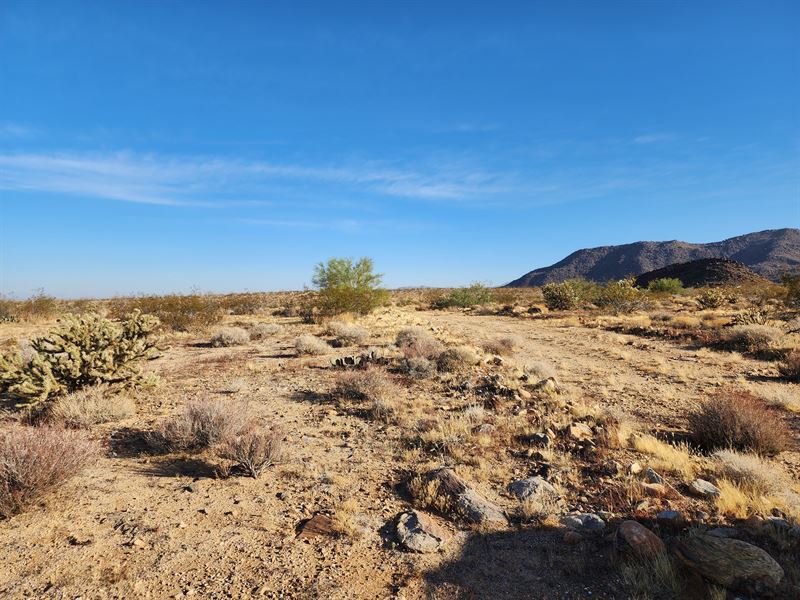 2.35 Acres 2 Hours From Las Vegas : Yucca : Mohave County : Arizona